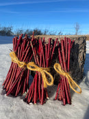 Red Osier Planting Stakes